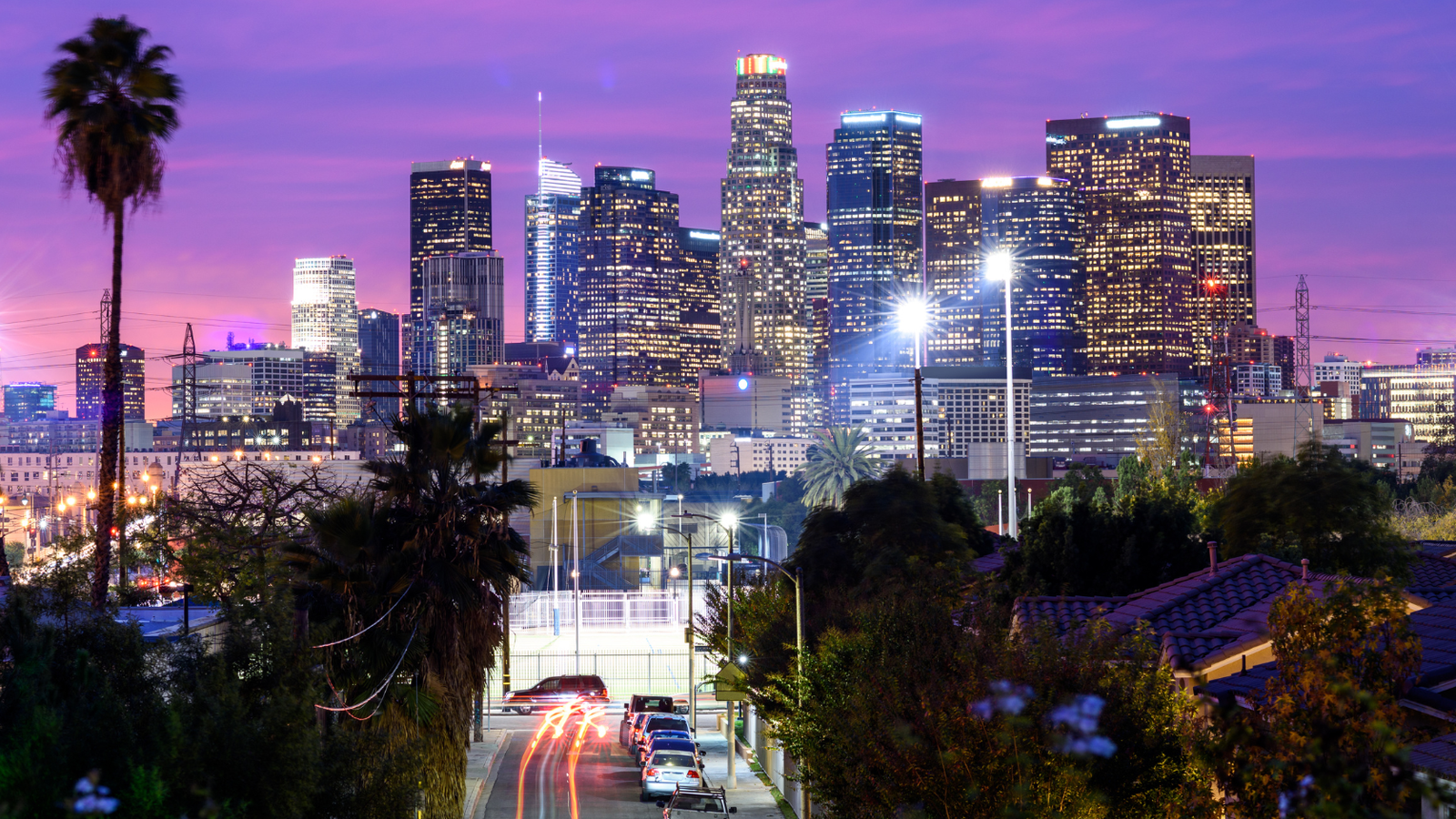 Los Angeles Skyline and Palm Trees