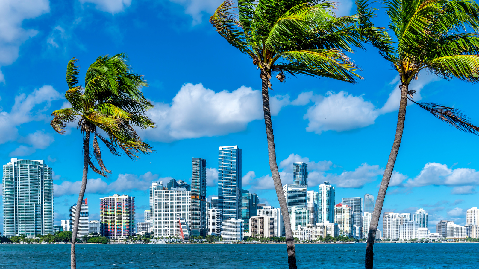 Miami South Beach & Skyline